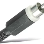 Japan chinch Stecker